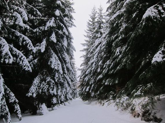 Dolní Morava má letos sněhu dost.