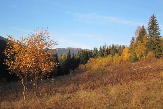 Podzim na Dolní Moravě